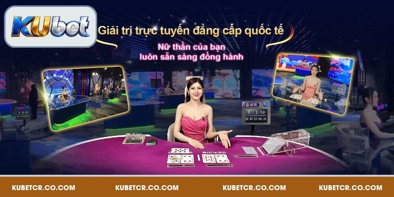 Tổng quan về Kubet Casino